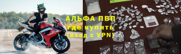 ГАЛЛЮЦИНОГЕННЫЕ ГРИБЫ Богородск