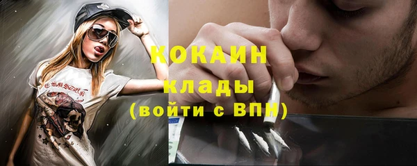 ешки Богданович